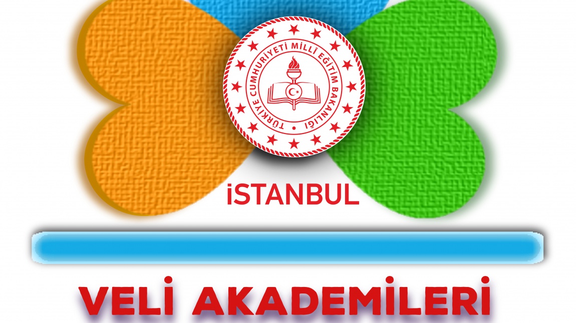 İstanbul Veli Akademileri